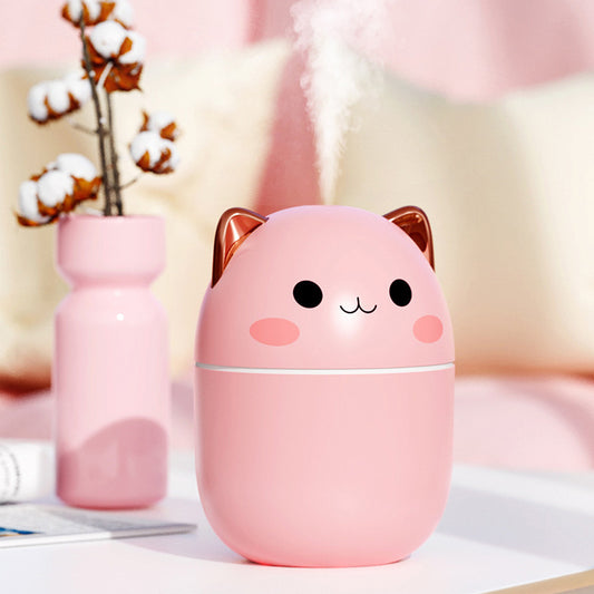 Kitty Humidifier